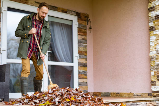 Best Dumpster Rental Services  in Medford, MA